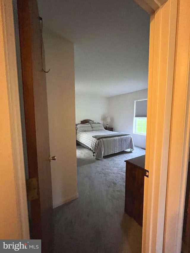 bedroom with carpet flooring
