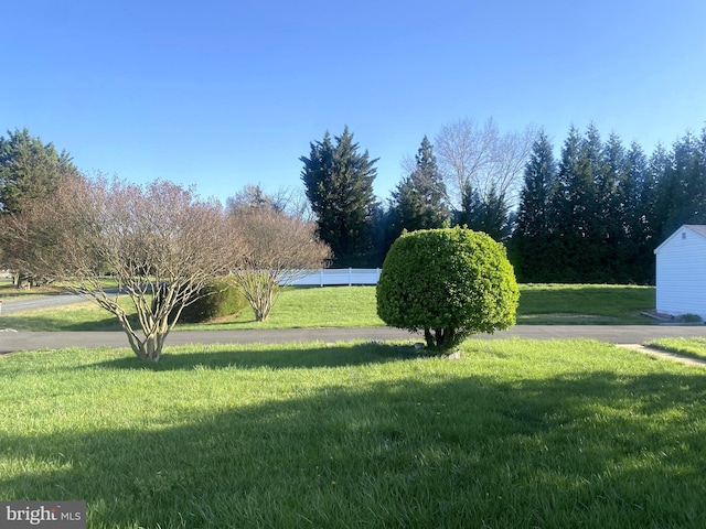 view of yard