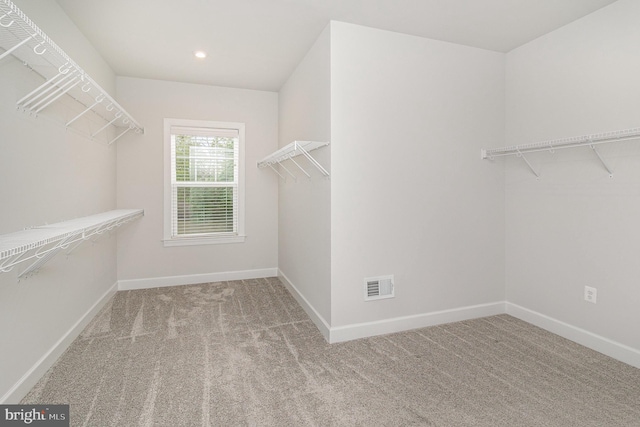 walk in closet featuring visible vents and carpet