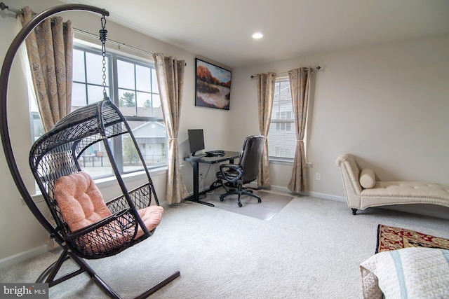 15 N Tompkins Sq, Downingtown, PA 19335 - carpeted office space featuring recessed lighting, a healthy amount of sunlight, and baseboards