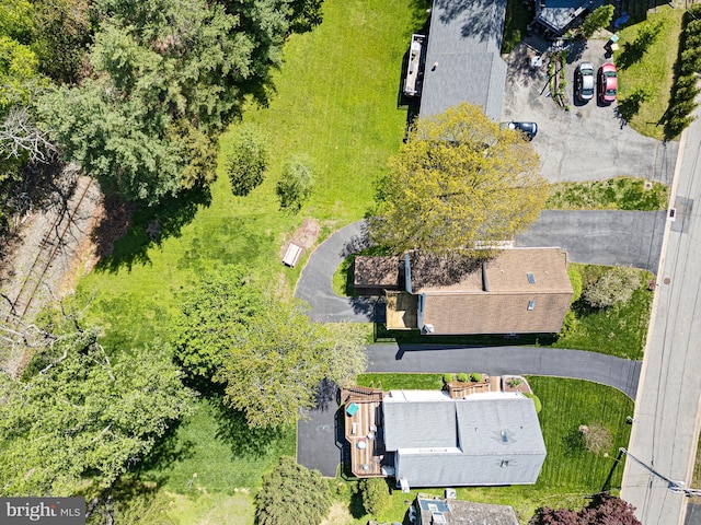 aerial view