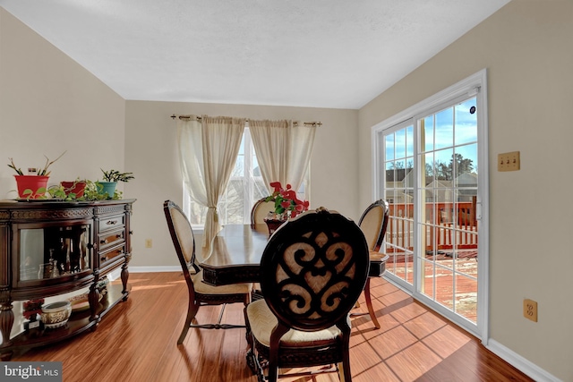 dining room featuring wood finished floors, baseboards, and a wealth of natural light