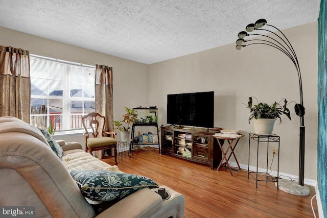 living room featuring baseboards, wood finished floors, and a textured ceiling