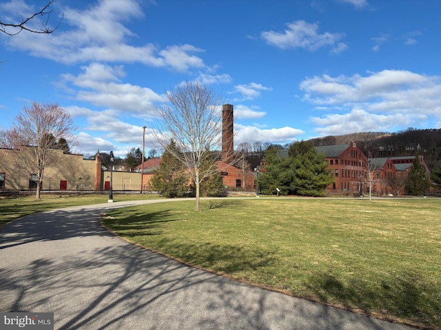 358-362 Stoney Batter, Bellefonte, PA 16823 - view of yard