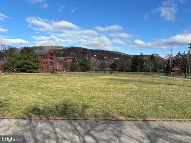 358-362 Stoney Batter, Bellefonte, PA 16823 - view of yard