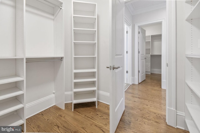 walk in closet with light wood-style floors