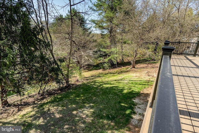 1198 Glenside Rd, Downingtown, PA 19335 - view of yard