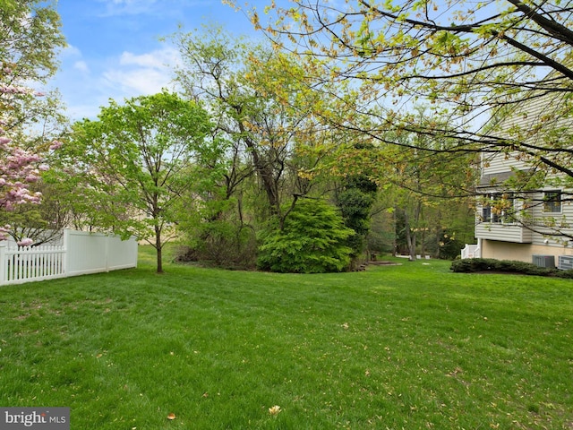 view of yard