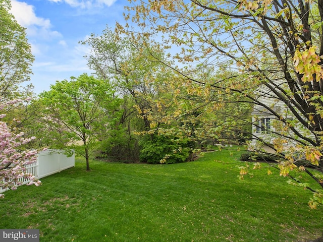 view of yard