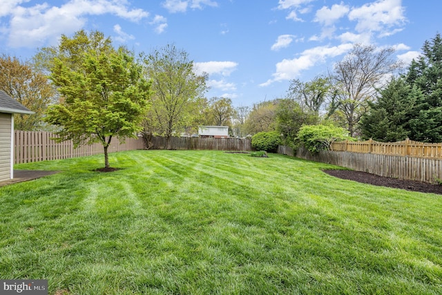 view of yard featuring a fenced backyard