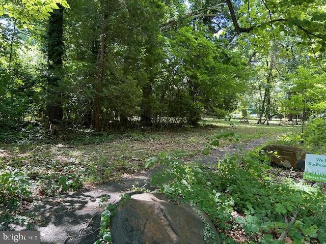 605 Upland Rd, Pikesville, MD 21208 - view of yard