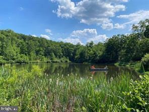 water view featuring a forest view