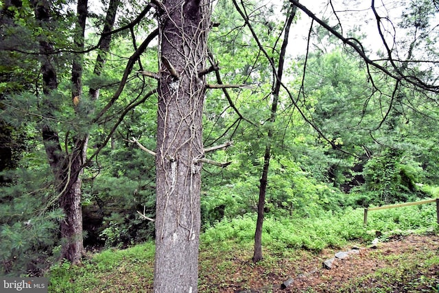 40 Brookside Dr, Holland, PA 18966 - view of tree filled area