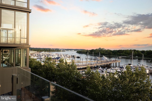 dock area with a water view