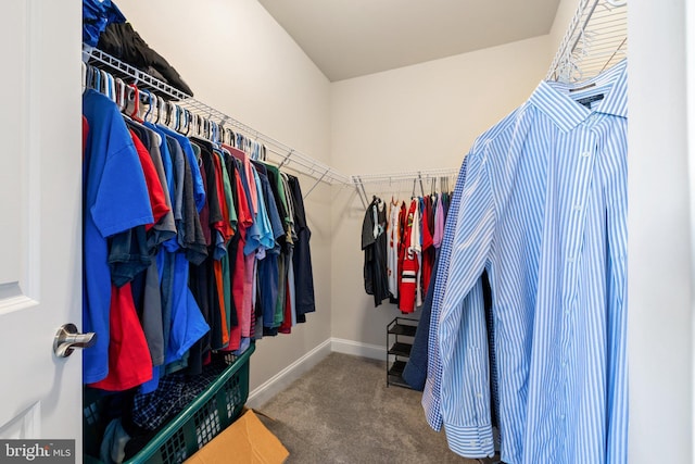walk in closet featuring carpet floors
