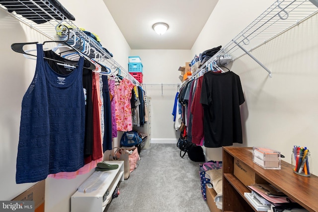 walk in closet featuring carpet floors