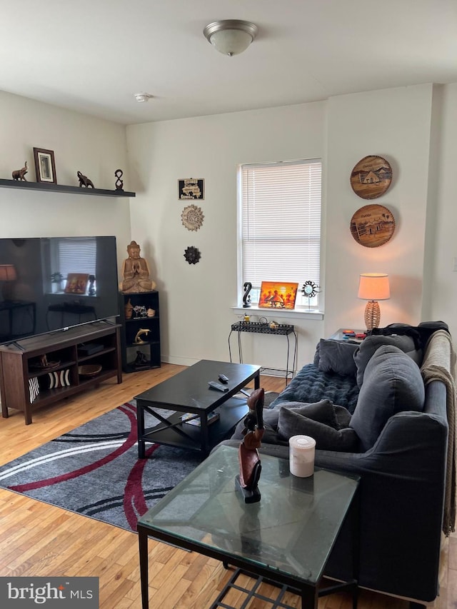 living area featuring wood finished floors