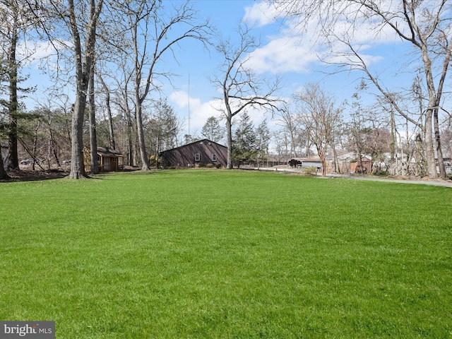 view of yard