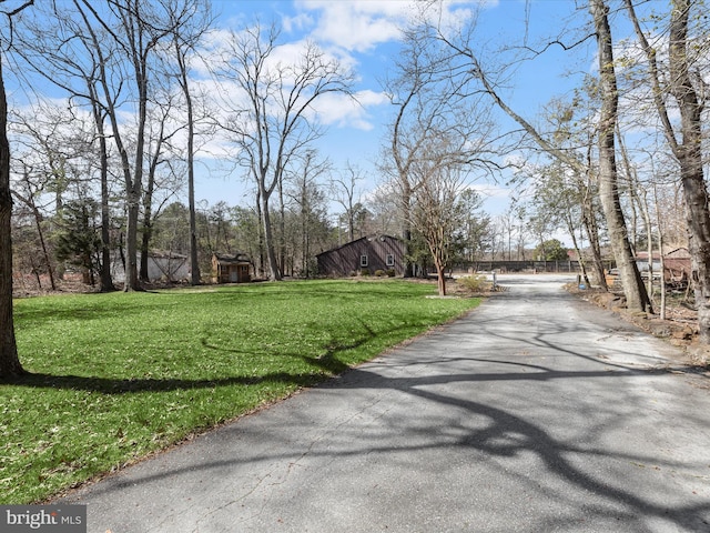 view of road with driveway