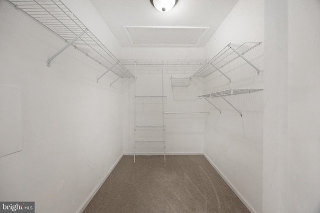 485 Lake George Cir, West Chester, PA 19382 - spacious closet with carpet