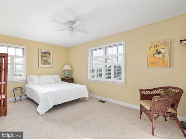 112 Daniel Ct, Strasburg, VA 22657 - carpeted bedroom featuring baseboards, multiple windows, and visible vents