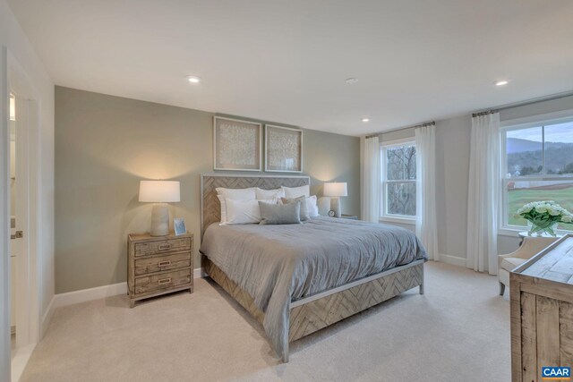 3065 Rambling Brook Ln, Crozet, VA 22932 - bedroom with light carpet, baseboards, and recessed lighting