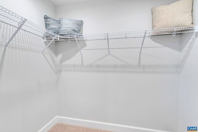 3065 Rambling Brook Ln, Crozet, VA 22932 - spacious closet with carpet