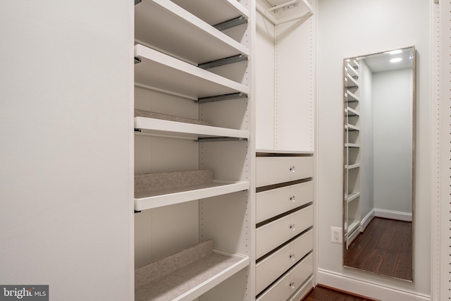 walk in closet with dark wood finished floors