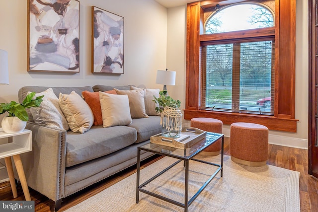 living room featuring wood finished floors and baseboards