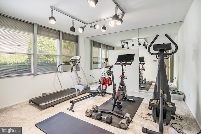 1057 Fitzwatertown Rd, Roslyn, PA 19001 - exercise room featuring carpet flooring