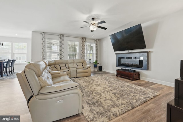 131 Boxelder Dr, Stafford, VA 22554 - living area featuring baseboards, wood finished floors, a ceiling fan, and a glass covered fireplace