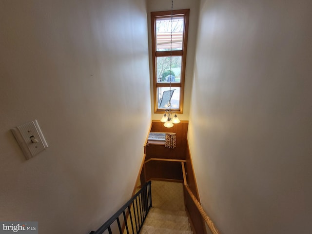 212 University Dr, Mont Alto, PA 17237 - staircase featuring carpet