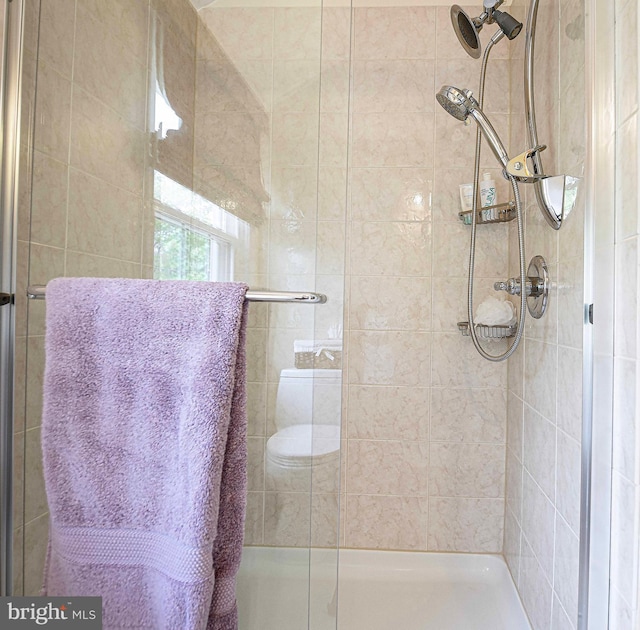 bathroom featuring a shower stall