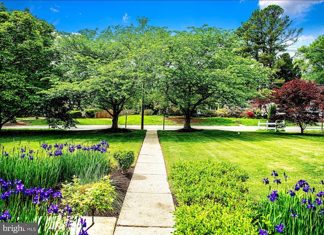 view of property's community featuring a yard