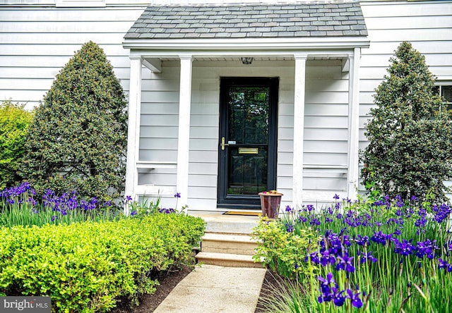view of exterior entry with covered porch and roof with shingles