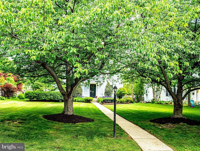 view of front of property featuring a front lawn