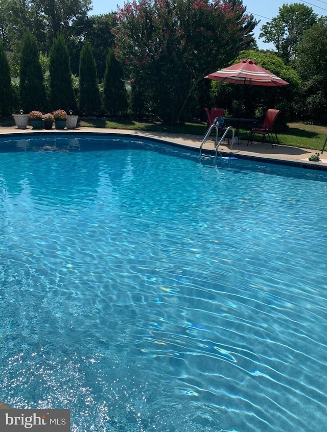 view of outdoor pool