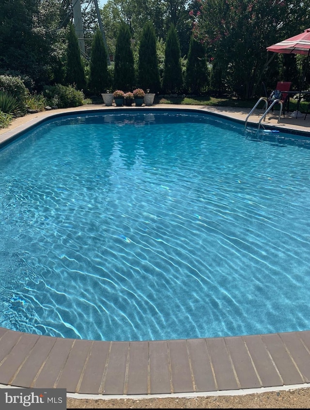 view of outdoor pool