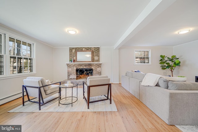 living room with crown molding, a fireplace, and wood finished floors
