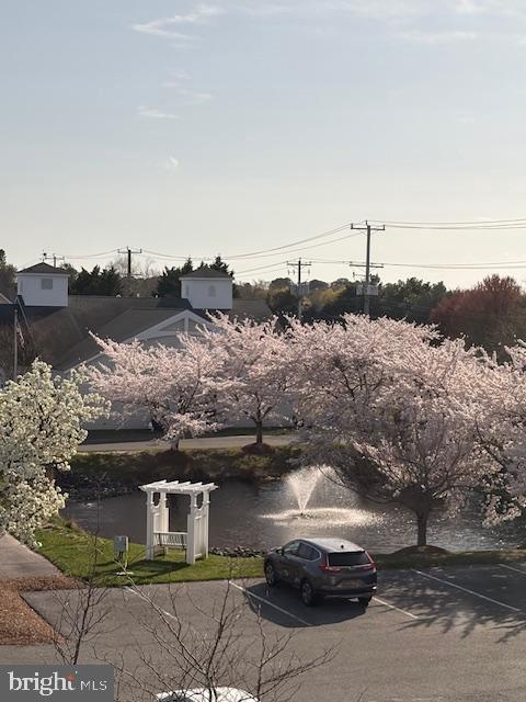 30609 Cedar Neck Rd Unit 3109, Ocean View, DE 19970 - view of uncovered parking lot