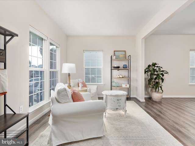 162 Blackford Dr, Stephenson, VA 22656 - sitting room with baseboards, wood finished floors, and plenty of natural light