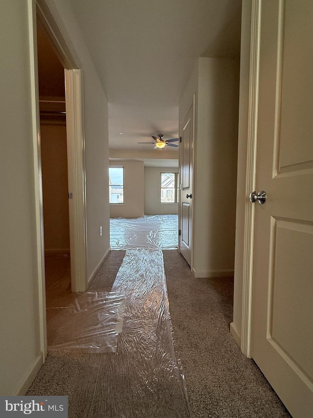 hallway with baseboards and carpet