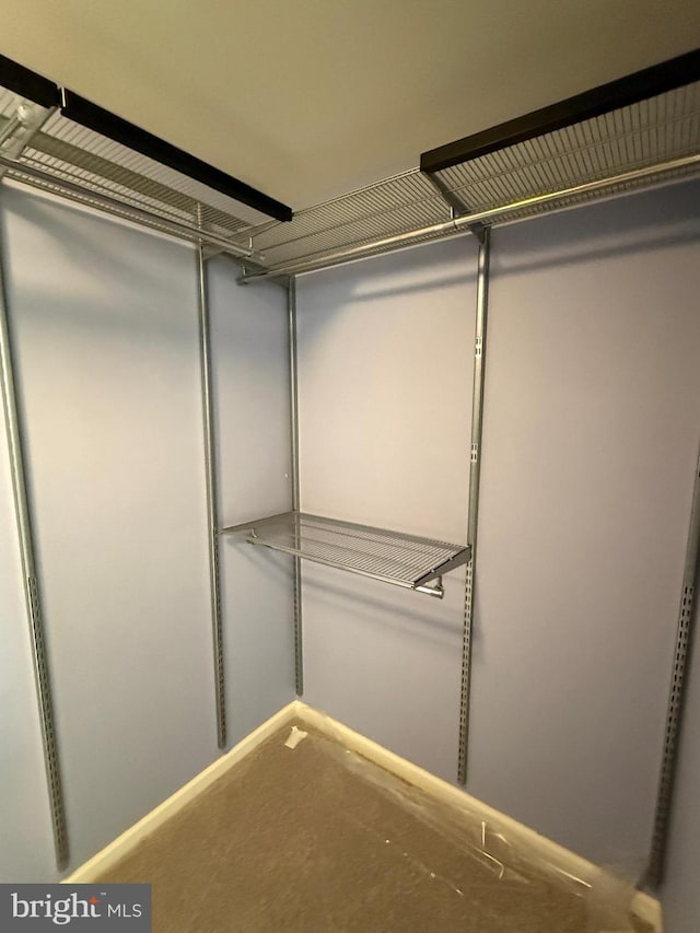 view of walk in closet