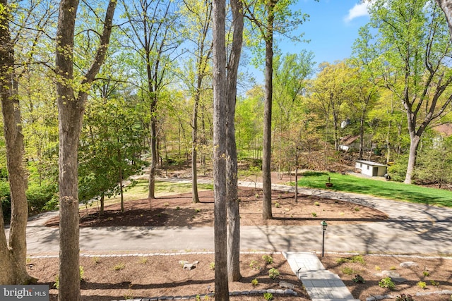 1335 N Pegram St N, Alexandria, VA 22304 - view of yard with an outdoor structure
