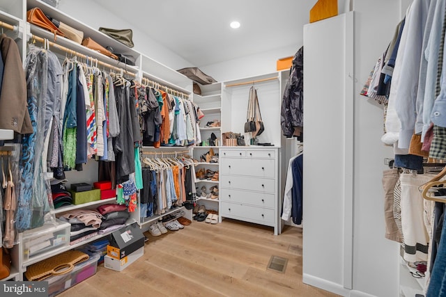 1335 N Pegram St N, Alexandria, VA 22304 - spacious closet with visible vents and wood finished floors