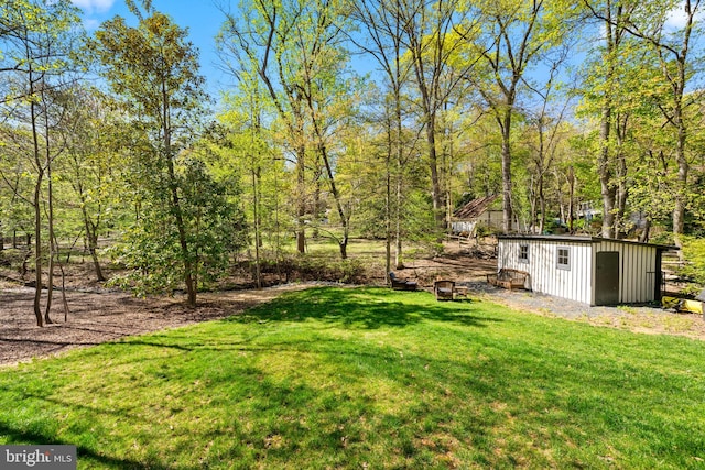 1335 N Pegram St N, Alexandria, VA 22304 - view of yard with a storage unit and an outdoor structure