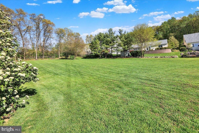 view of yard