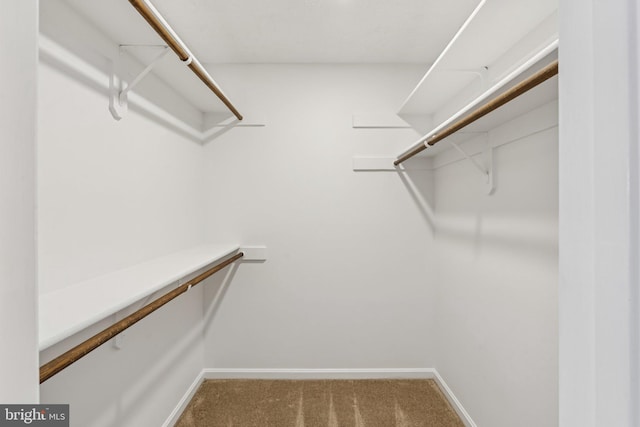 249 S Pickett St Unit 302, Alexandria, VA 22304 - walk in closet with carpet floors
