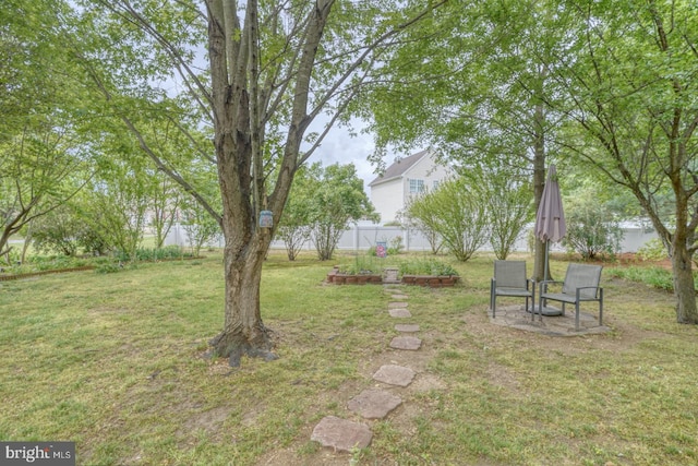 view of yard