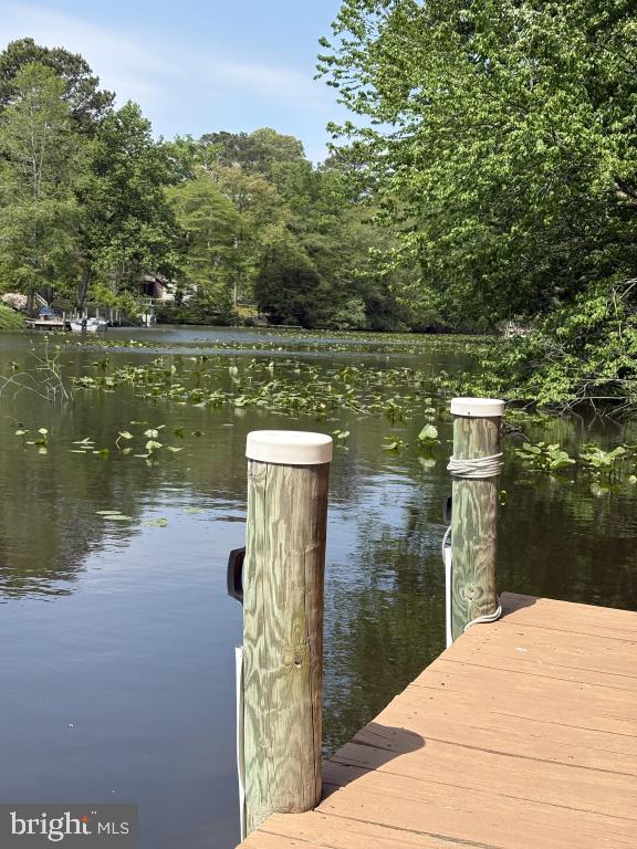 31460 Point Dr, Lewes, DE 19958 - dock featuring a water view and a forest view